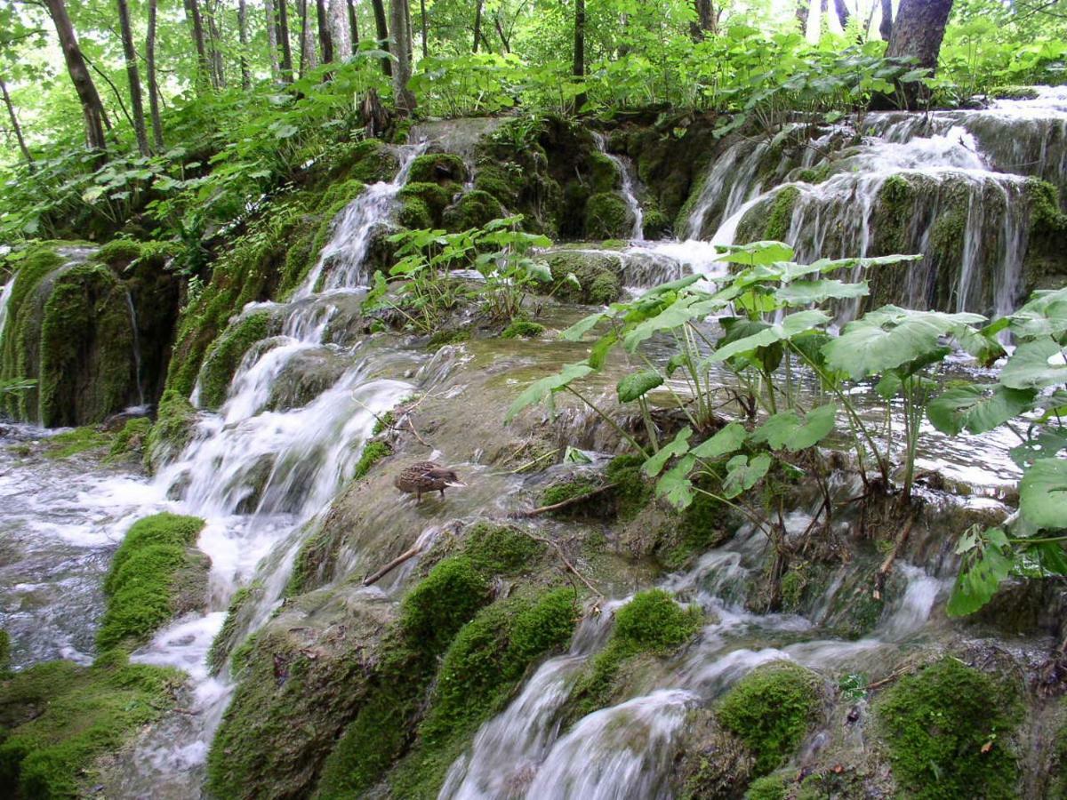 קורניצה Accommodation Plitvice מראה חיצוני תמונה